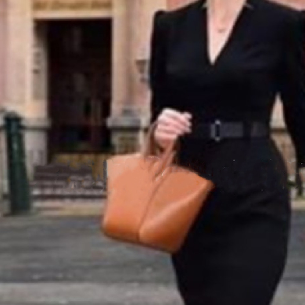 Business Wear Temperament Goddess Style Dress Women's Spring And Autumn Fashion Half Sleeve - Image 6