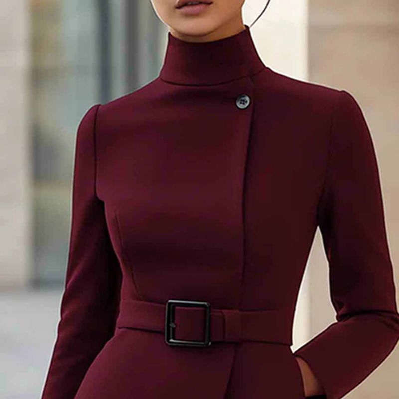 Women's Stand Collar Long Sleeve Dress, Elegant High Waist Belted Midi Dress, Slim Fit Office Formal Dress - Image 3